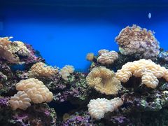 iphone_upload_pic-御唐府海珊瑚主题餐厅
