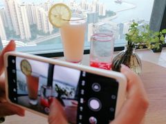 -柴犬小屋·柴餐厅·狗咖食堂(金鼎广场店)