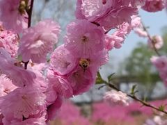 -大望京公园