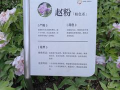 -太阳宫公园