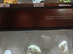 -陕西自然博物馆