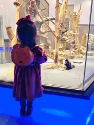 -未来动物城动物主题公园(大悦城店)