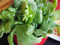 -四季大盘涮肉园(天竺店)