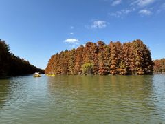 -上海海湾国家森林公园