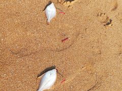 -青岛银沙滩