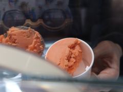-Dip in Gelato(富民路店)