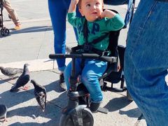 -圣马尔谷圣殿宗主教座堂