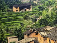 -田小狗的饭店(碧桂园店)