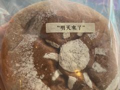 明天来了-七叔是岛民(花基新村店)