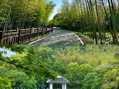 -游子山休闲旅游区