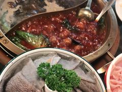 -小天鹅火锅·一线江景洪鼎旗舰店(洪崖洞店)