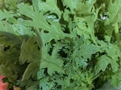 -草原塞蛮羊火锅城(港湾店)