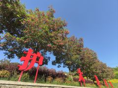 -王顺山国家森林公园