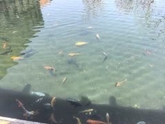 -芙蓉街-王府池子