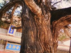 -北京国子监胡同
