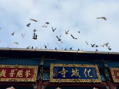 -九华山风景区