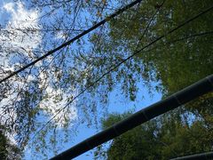 -宁波五龙潭景区