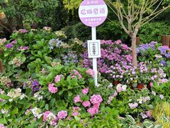 -上海滨江森林公园
