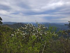 -王顺山国家森林公园