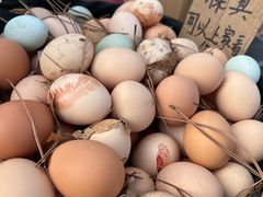 -蒲河大集