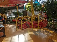 -南宫五洲植物乐园