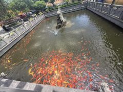 -会龙寺