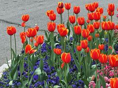 -绝味鸭脖(地铁站一店)