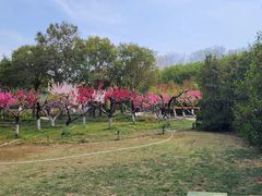 -郑州植物园
