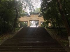 -灵谷景区