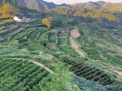 -乌石村