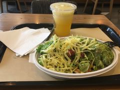 -油梨树 AVOCADO TREE(亮马桥店)