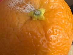 -百果园PAGODA(法华镇路店)