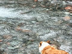 -西岭雪山大飞水景区