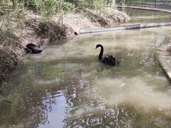 -沈阳鸟岛