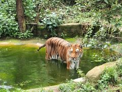 -云南野生动物园