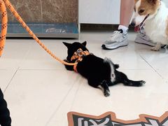-美联众合24小时·皮肤科·外科·全科诊疗中心(华苑分院)