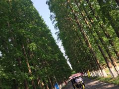 -金岛生态园烧烤露营地
