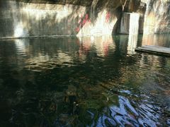 -千岛湖东南湖区