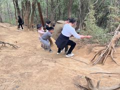 -灵岩山风景区