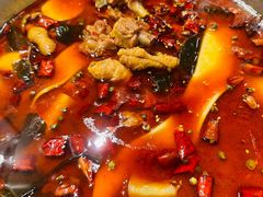 -晓彭肥肠鸡·泡椒鸡火锅(水木天地店)