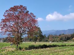 -塔川景区