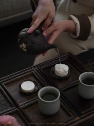 -VELEE·SPA高定疗愈会所