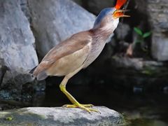 -太阳宫公园
