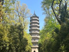 -灵谷景区