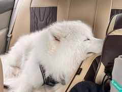 -黔府豆米火锅野菜馆(南马店)