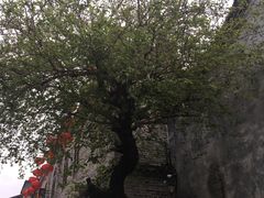 -福建省非物质文化遗产博览苑