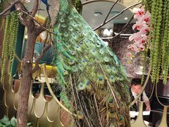 -雀蓝川菜(奥体广场店)