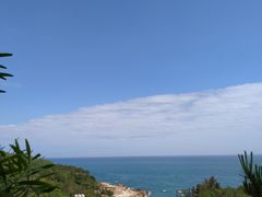 -广东惠东海龟国家级自然保护区