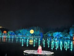 -印象西湖·最忆是杭州实景演出