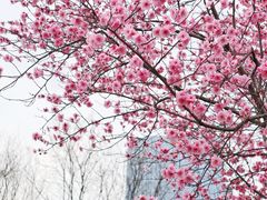 -白塘生态植物园